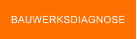 BAUWERKSDIAGNOSE
